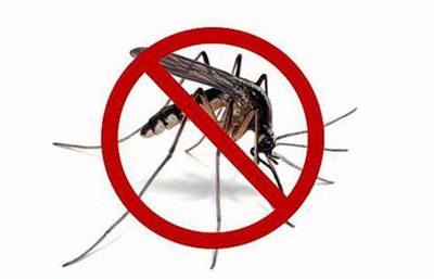 1608695738767885.jpg 58e0da8884a561a6ca28301535b09dd5_調(diào)整大小.jpg