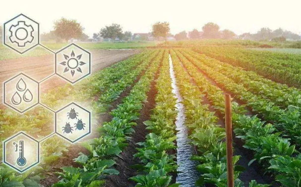 我國數(shù)字農(nóng)業(yè)產(chǎn)業(yè)面臨的挑戰(zhàn) 我國數(shù)字農(nóng)業(yè)產(chǎn)業(yè)面臨的挑戰(zhàn)