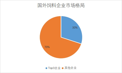 國外企業(yè)市場格局 國外企業(yè)市場格局