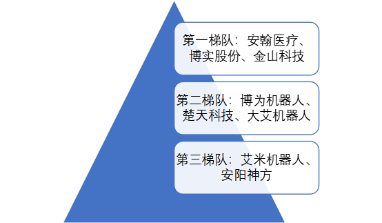 市場(chǎng)梯隊(duì)