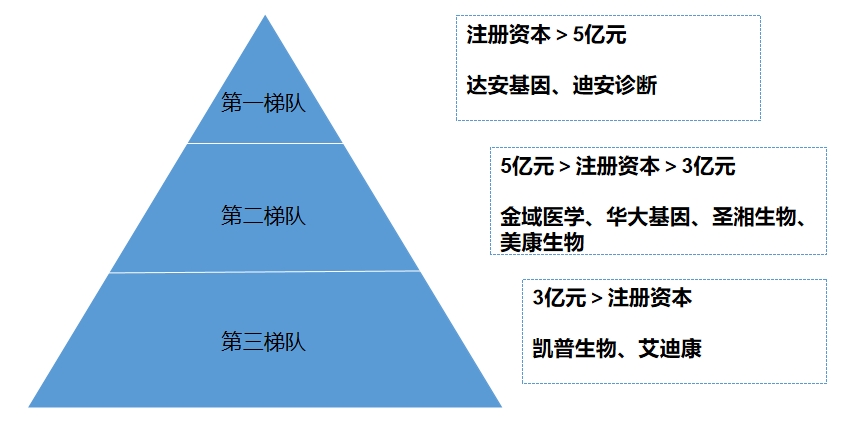 市場梯隊 市場梯隊