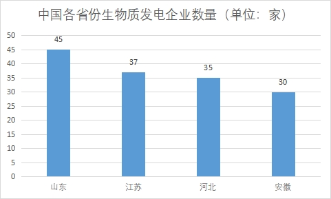 中國生物質(zhì)能發(fā)電行業(yè)競爭格局及重點企業(yè)調(diào)查