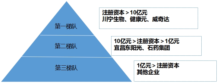 中國(guó)抗生素行業(yè)競(jìng)爭(zhēng)格局及重點(diǎn)企業(yè)研究 中國(guó)抗生素行業(yè)競(jìng)爭(zhēng)格局及重點(diǎn)企業(yè)研究