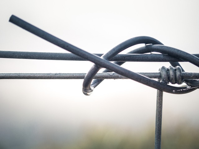 全球鋼簾線市場(chǎng)調(diào)研 全球鋼簾線市場(chǎng)調(diào)研