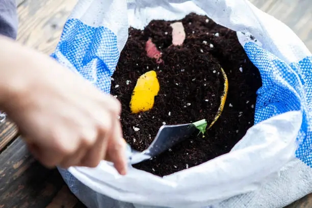 中國有機肥料行業(yè)的發(fā)展前景及趨勢預(yù)測