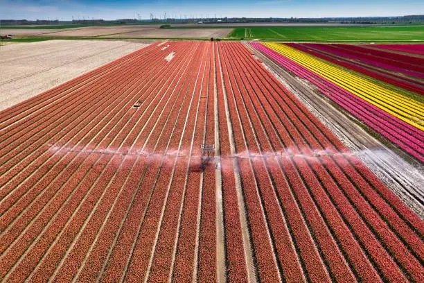 中國(guó)農(nóng)藥市場(chǎng)現(xiàn)狀及前景研究