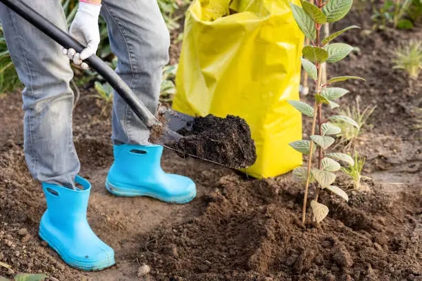 中國(guó)有機(jī)肥料行業(yè)現(xiàn)狀分析