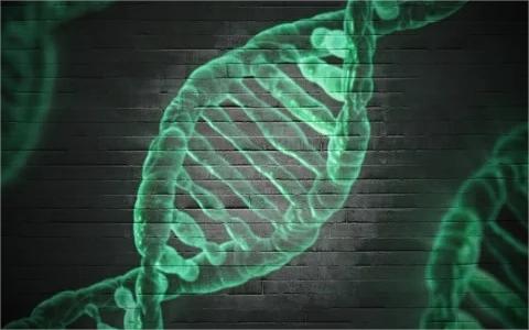 中國細(xì)胞與基因治療（CGT）市場全景研究