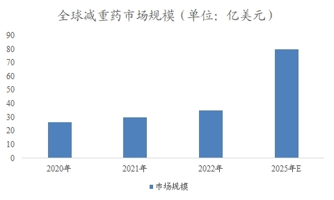 全球及中國減重藥行業(yè)分析報告