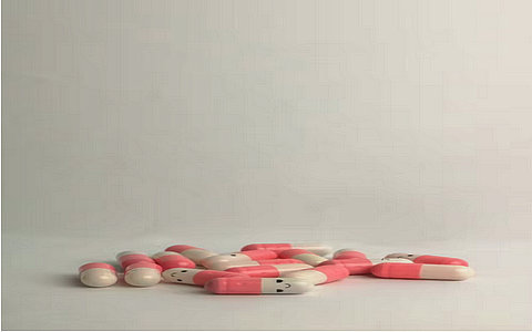 中國制藥裝備市場現(xiàn)狀研究