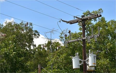 全球及中國電力變壓器行業(yè)發(fā)展現(xiàn)狀分析及前景預(yù)測報告