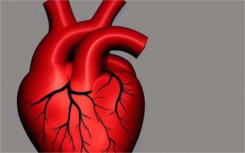 中國(guó)心臟瓣膜市場(chǎng)發(fā)展現(xiàn)狀分析
