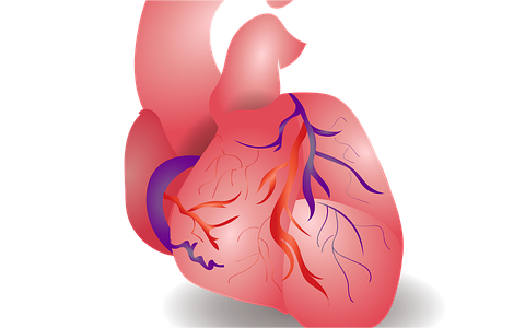 中國心臟瓣膜行業(yè)調(diào)研 中國心臟瓣膜行業(yè)調(diào)研