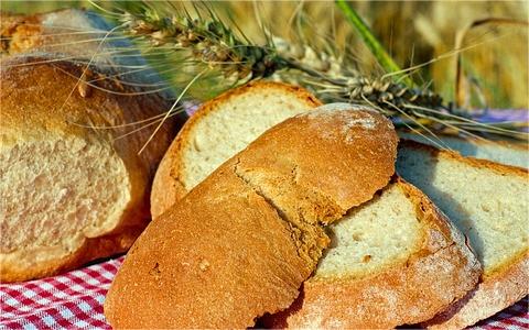 中國烘焙食品行業(yè)調研