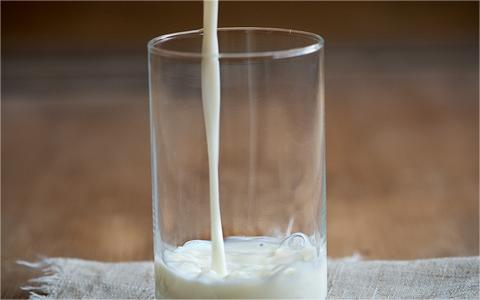 中國羊奶行業(yè)調(diào)研 中國羊奶行業(yè)調(diào)研