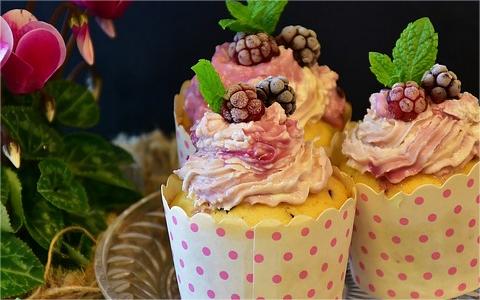 中國無糖食品行業(yè)發(fā)展環(huán)境分析及趨勢研究報 中國無糖食品行業(yè)發(fā)展環(huán)境分析及趨勢研究報