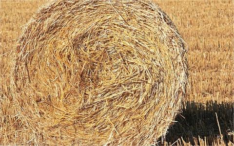 全球及中國秸稈行業(yè)研究報告 全球及中國秸稈行業(yè)研究報告