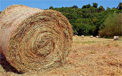 中國秸稈行業(yè)發(fā)展機(jī)遇分析及趨勢預(yù)測研究報(bào)告