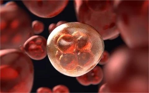 中國(guó)CAR-T免疫細(xì)胞治療行業(yè)發(fā)展環(huán)境分析及前景預(yù)測(cè)研究報(bào)告 中國(guó)CAR-T免疫細(xì)胞治療行業(yè)發(fā)展環(huán)境分析及前景預(yù)測(cè)研究報(bào)告