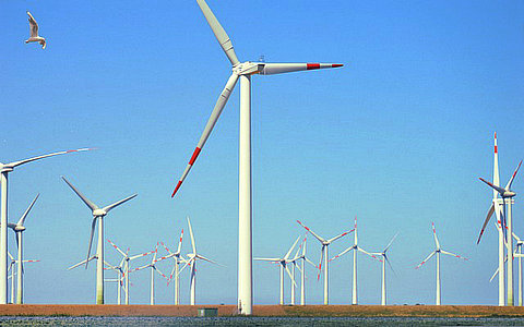 關(guān)于加強(qiáng)生態(tài)環(huán)境分區(qū)管控的意見政策解讀