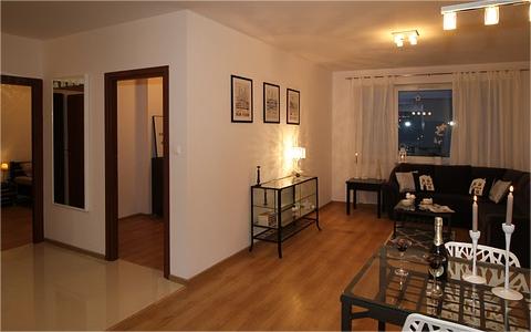 中國整木家裝行業(yè)研究報告