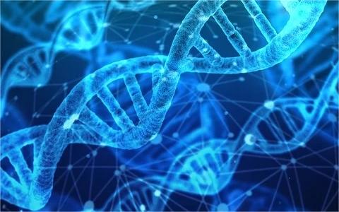 中國基因編輯育種行業(yè)分析 中國基因編輯育種行業(yè)分析