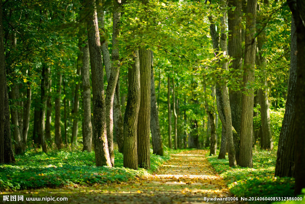 政策研究報告：[生態(tài)保護補償條例]解讀