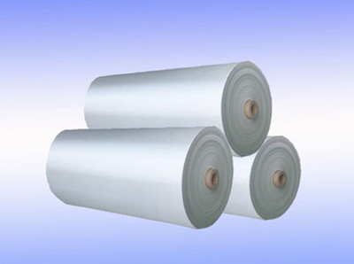 全球及中國低介電玻璃纖維市場調(diào)研及投資前景分析調(diào)研報告 2023