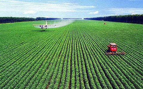 關(guān)于扶持新型農(nóng)業(yè)經(jīng)營主體和服務(wù)主體提升發(fā)展三年攻堅(jiān)行動(dòng)十三條措施政策解讀 關(guān)于扶持新型農(nóng)業(yè)經(jīng)營主體和服務(wù)主體提升發(fā)展三年攻堅(jiān)行動(dòng)十三條措施政策解讀