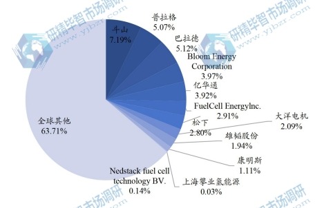 全球氫燃料電池主要企業(yè)產(chǎn)值占比 （2019-2020）