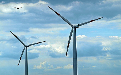 推動(dòng)綠電資源就地轉(zhuǎn)化助力產(chǎn)業(yè)綠色低碳轉(zhuǎn)型工作方案政策解讀