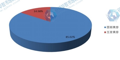全球2015年美容電器不同應(yīng)用領(lǐng)域銷量市場份額