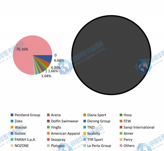 2016年全球供應(yīng)商泳裝銷售額市場(chǎng)份額 2016年全球供應(yīng)商泳裝銷售額市場(chǎng)份額
