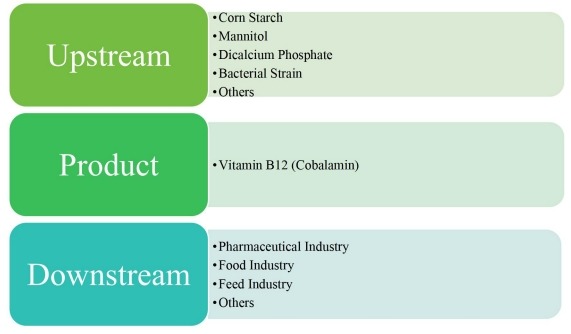 維生素B12(鈷胺素)價(jià)值鏈分析 維生素B12(鈷胺素)價(jià)值鏈分析