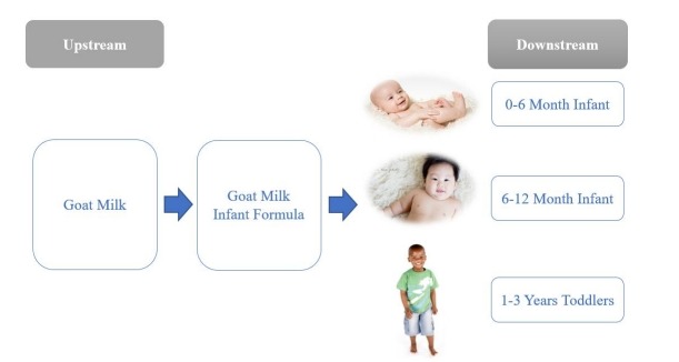 山羊奶嬰兒配方奶粉價(jià)值鏈分析