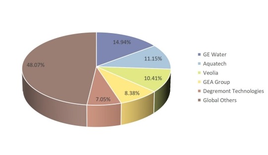 2016年全球五大零液體排放系統(tǒng)（ZLD）制造商收入市場(chǎng)份額