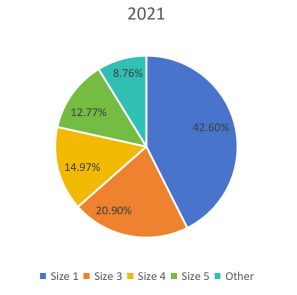 2021年按類型劃分的全球足球生產(chǎn)市場(chǎng)份額(%) 2021年按類型劃分的全球足球生產(chǎn)市場(chǎng)份額(%)