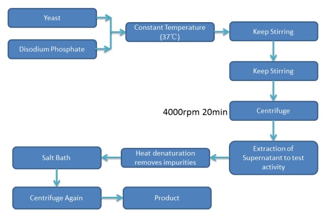 酒精脫氫酶生產(chǎn)工藝分析