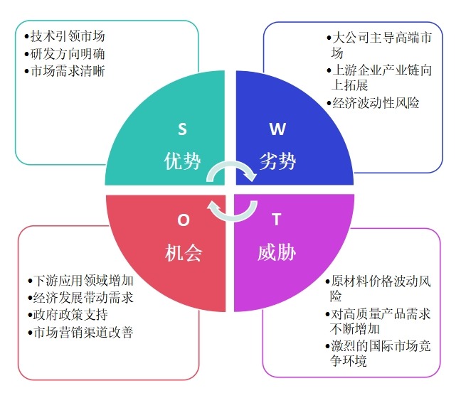 環(huán)糊精項目SWOT分析 環(huán)糊精項目SWOT分析