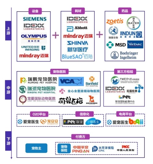 寵物醫(yī)療器械產業(yè)鏈