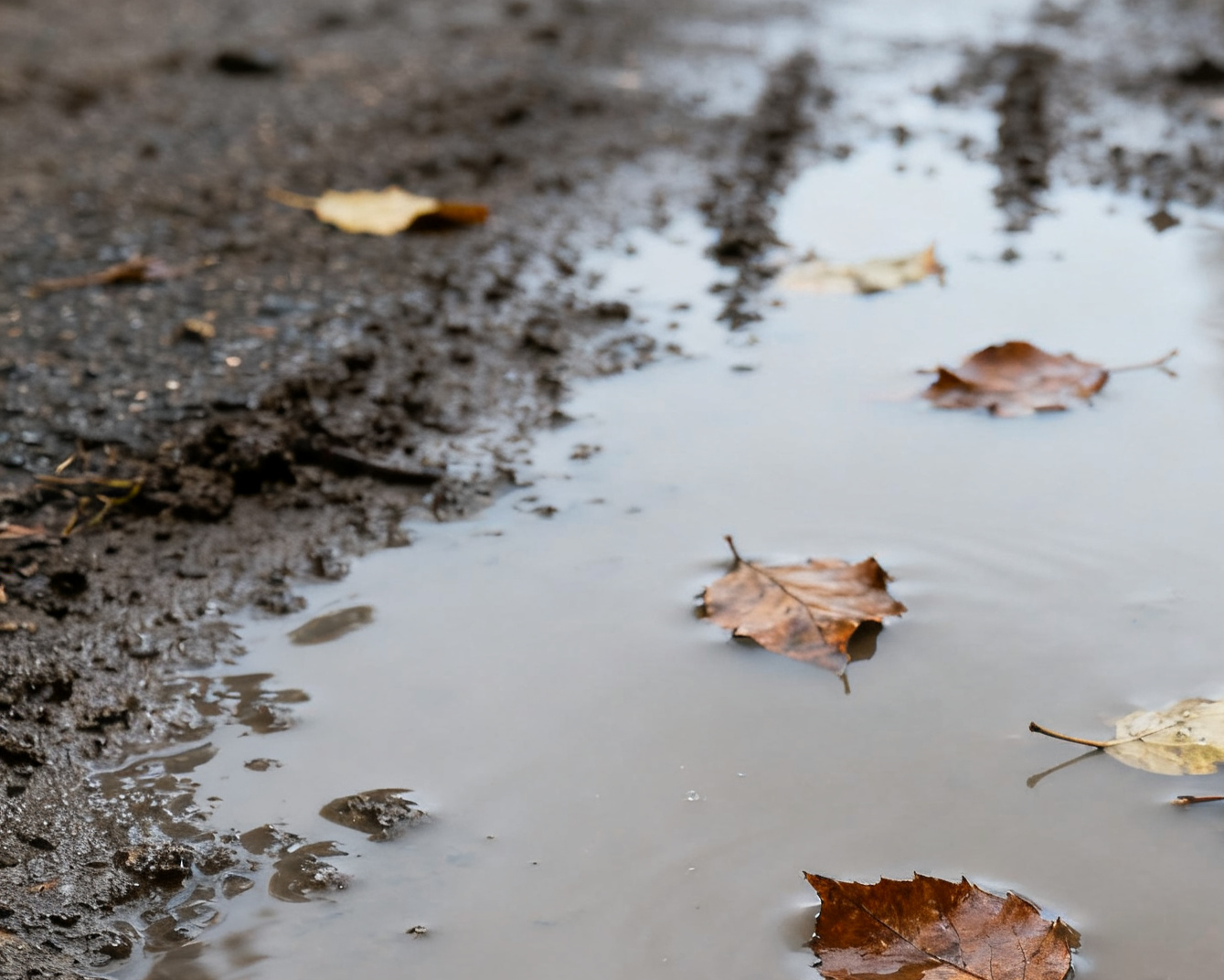 全球污泥處理行業(yè)深度解析與投資機遇 全球污泥處理行業(yè)深度解析與投資機遇