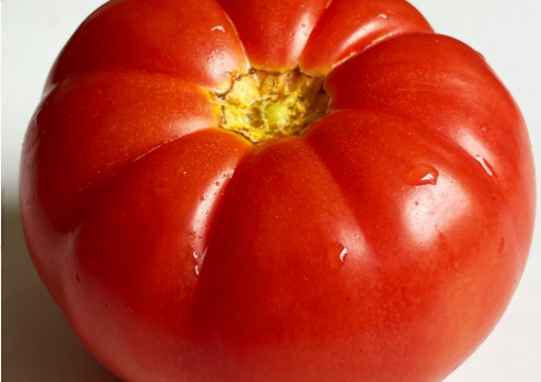 全球西紅柿行業(yè)全鏈條整合與貿易新格局