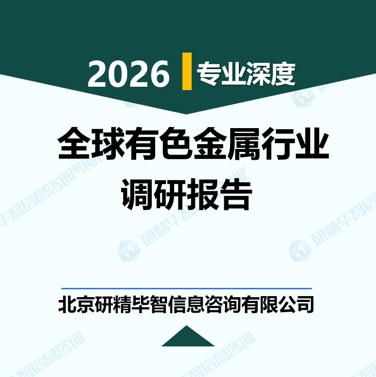 2025-2030年全球有色金屬行業(yè)細(xì)分市場與投資策略指南研究報(bào)告