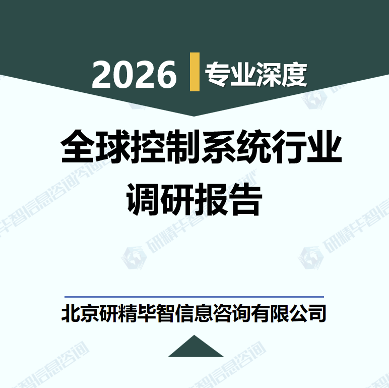 2026-2030年全球控制系統(tǒng)行業(yè)競爭格局與供應(yīng)鏈重塑調(diào)研報(bào)告